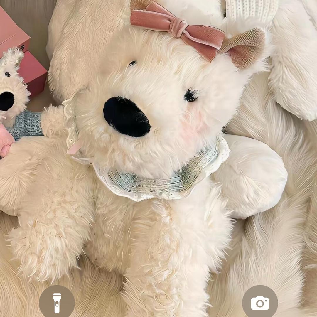 汇锦悦珑湾-王欢