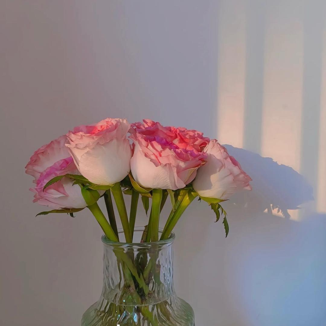 花花