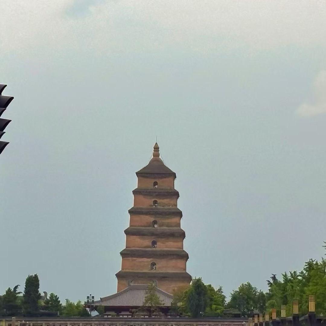 中海锦业拾光敬滔