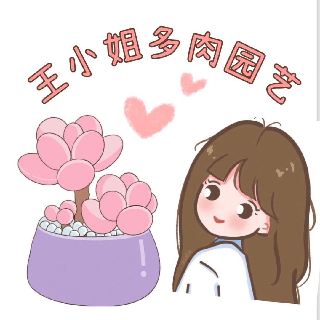 王小姐多肉园艺花卉