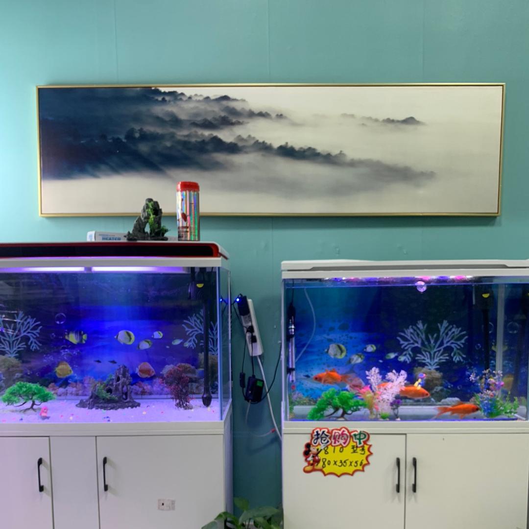 有余水族用品