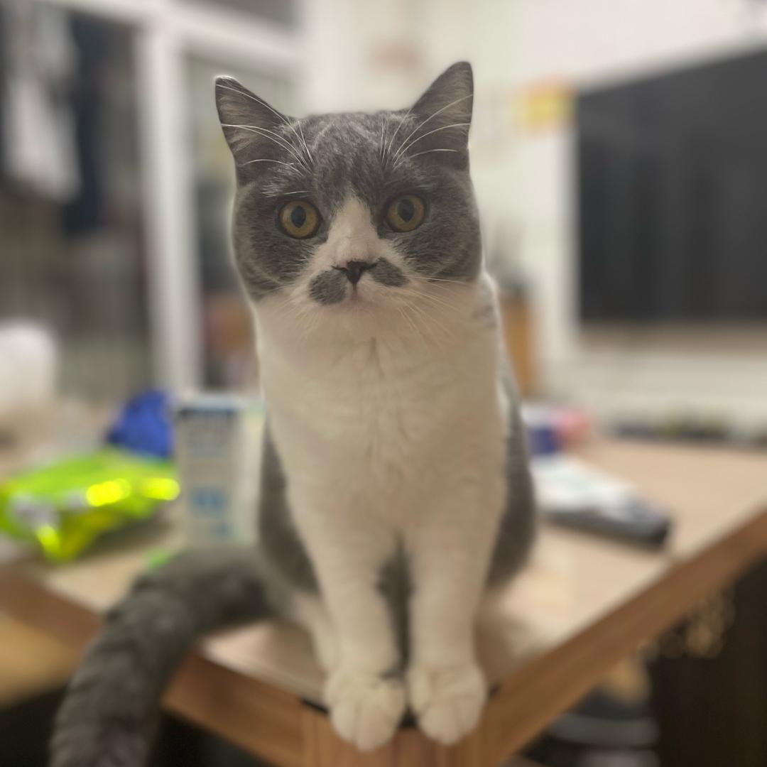 泽阳哥