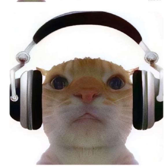 没穿苦茶子的猫