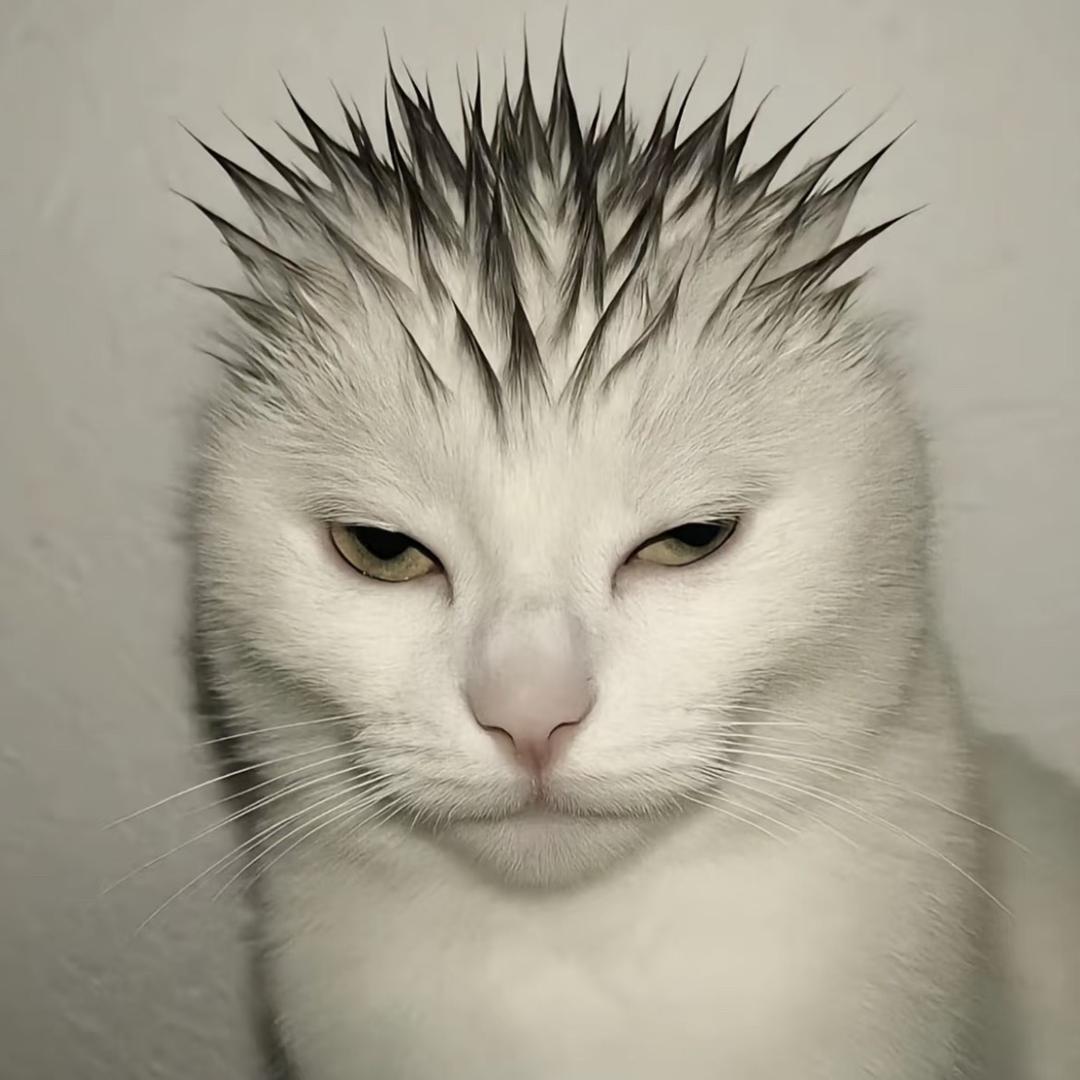 存勛❕