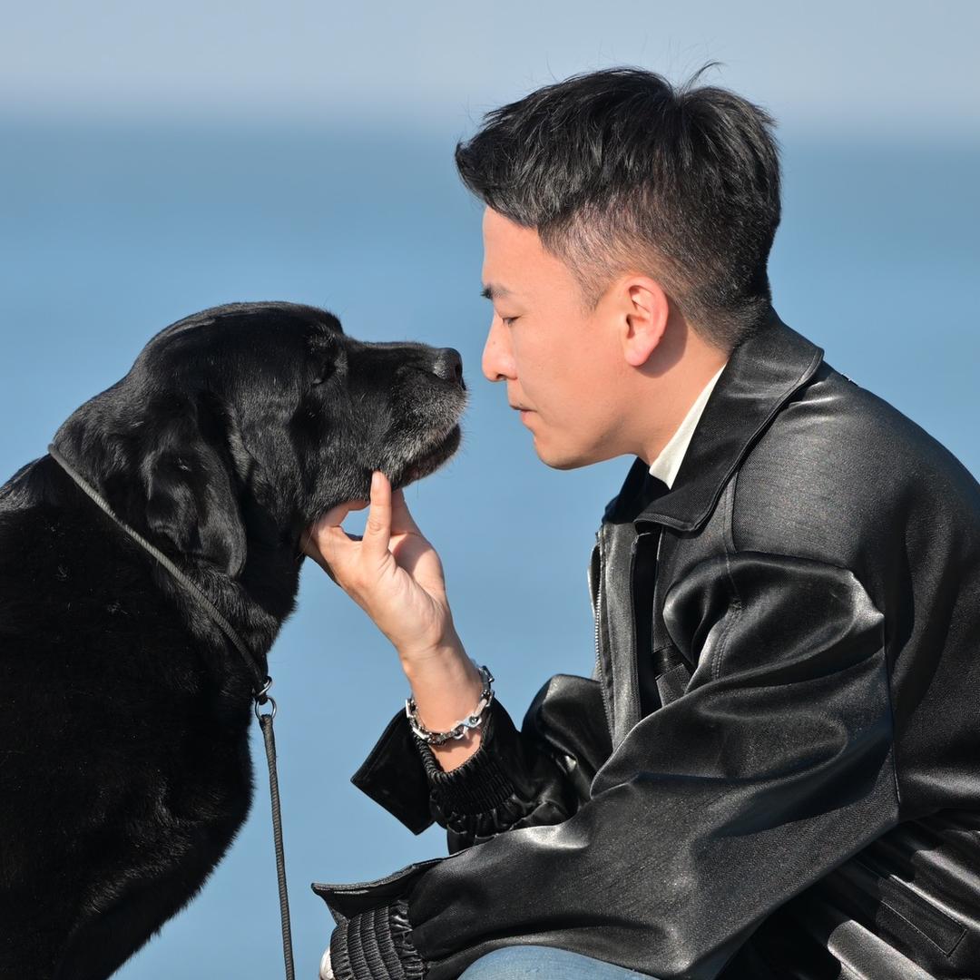 金圣拉布拉多kennel
