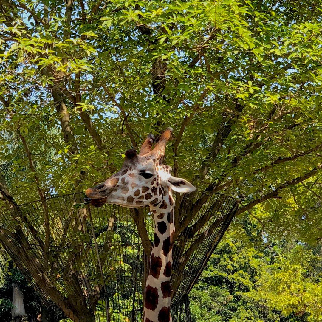 快到碗里来ʕ •ᴥ•ʔ