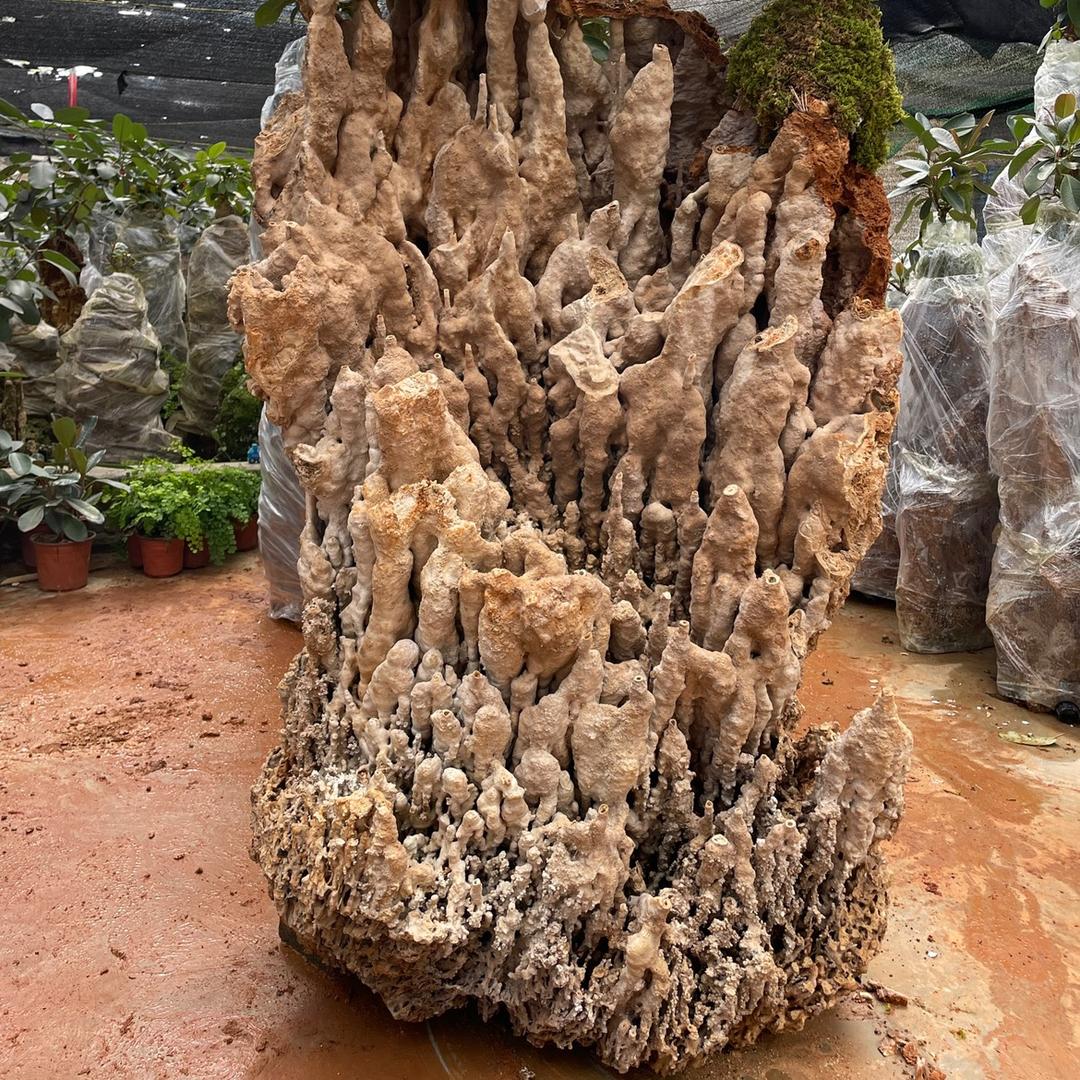 小李吸水石（石屏）