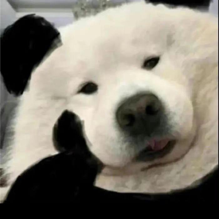 乐芙爹