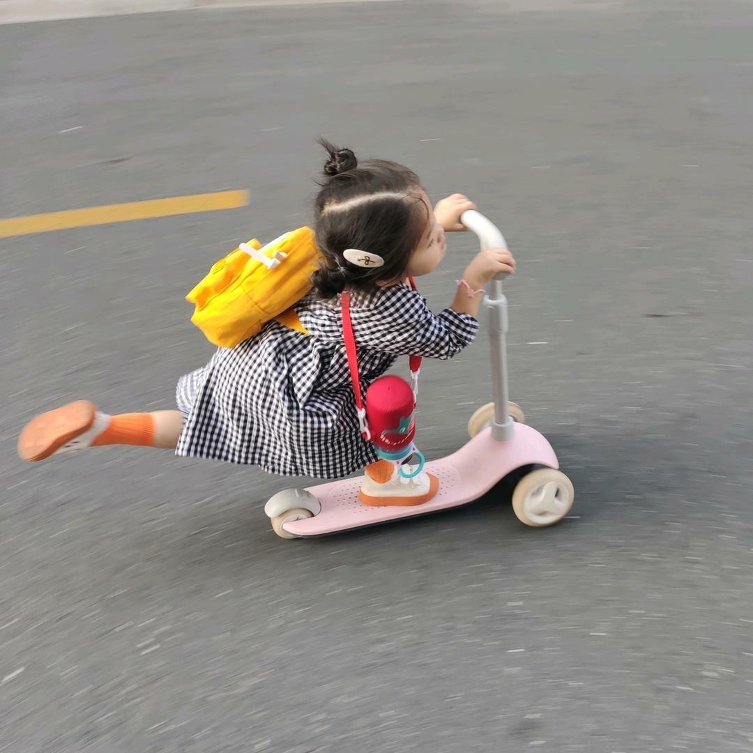 只只不知