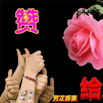 张改芝