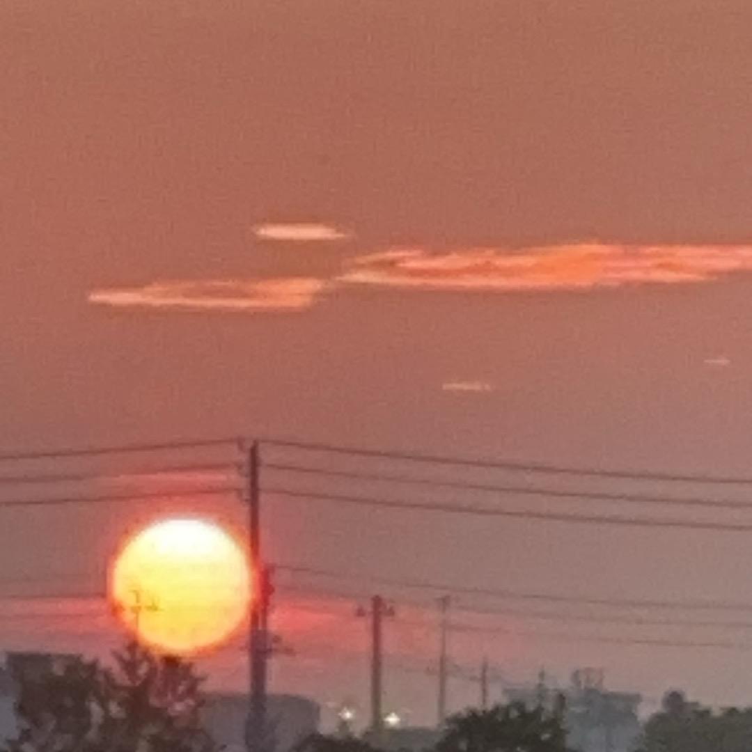 兮兮