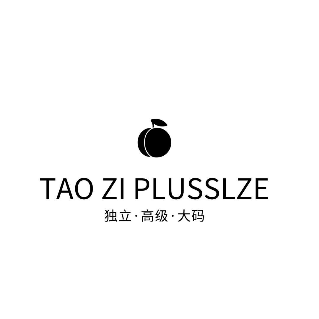 淘子大码女装-全国招商