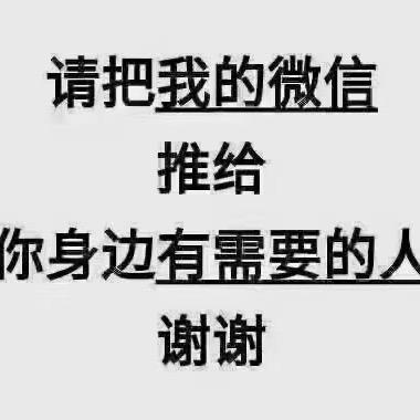 海岛返程车吴彦强