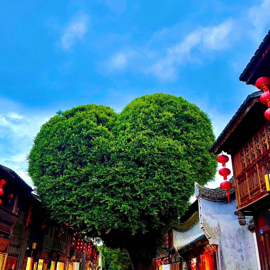 琳阙百货优品小铺