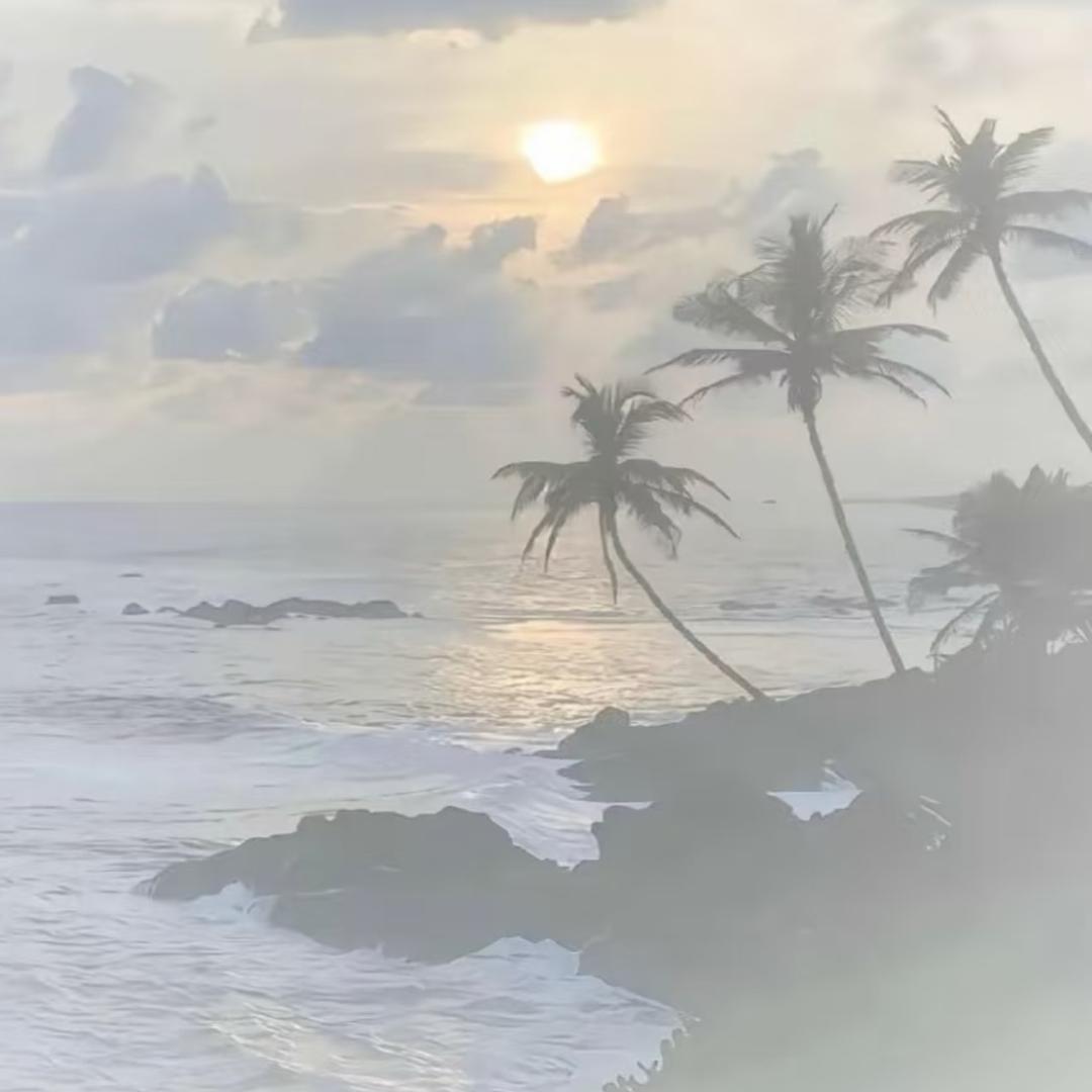 一只生菜🔥互粉🔥