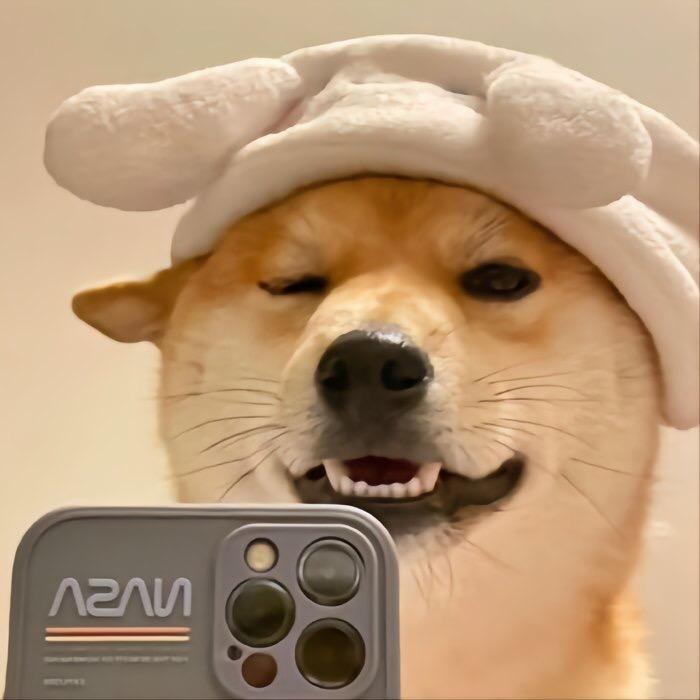 阿柴工作室