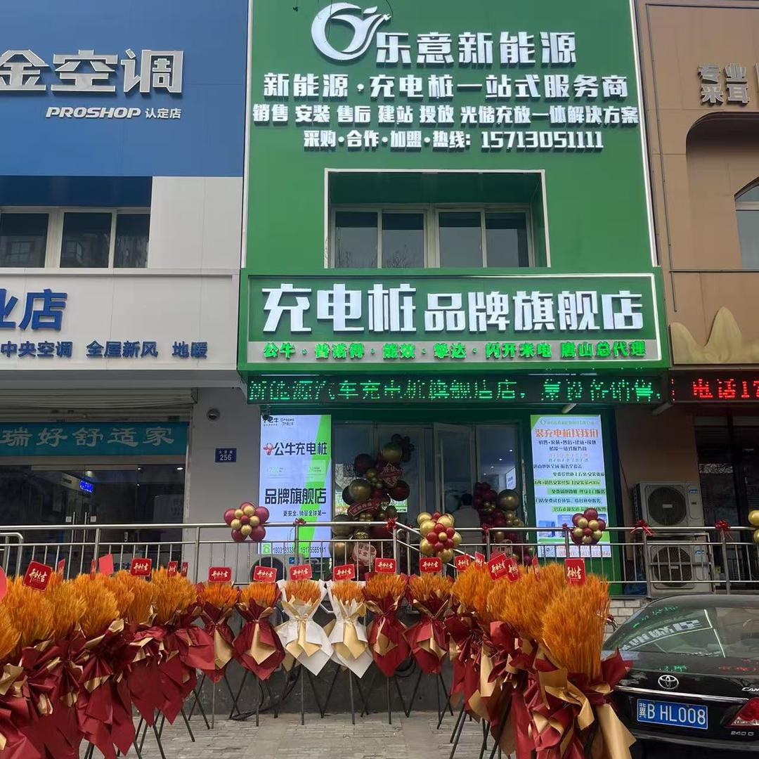 乐意新能源充电桩(唐山旗舰店)