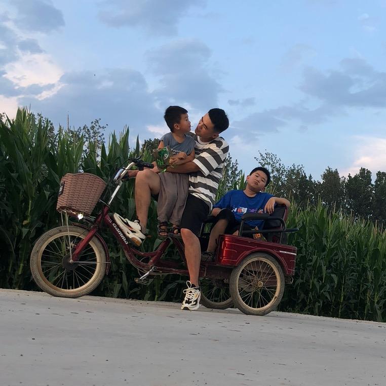 向阳鲜花