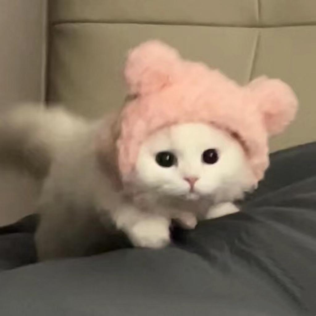 小土豆（不赖皮）