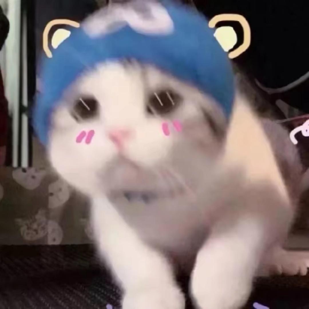 有李 说不清