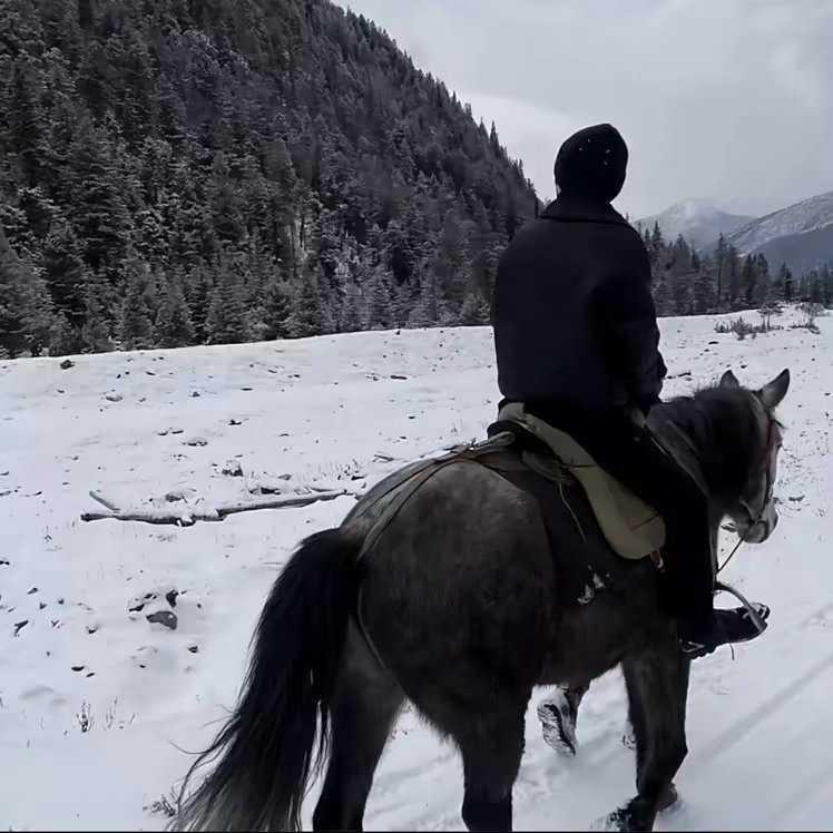 少爷.