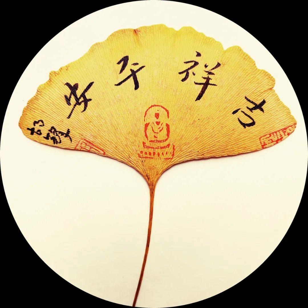 一米阳光🌾