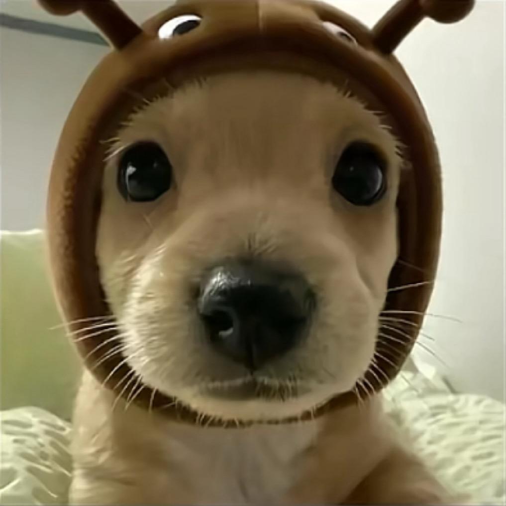 小草^