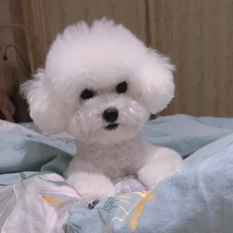 萌萌的小宝