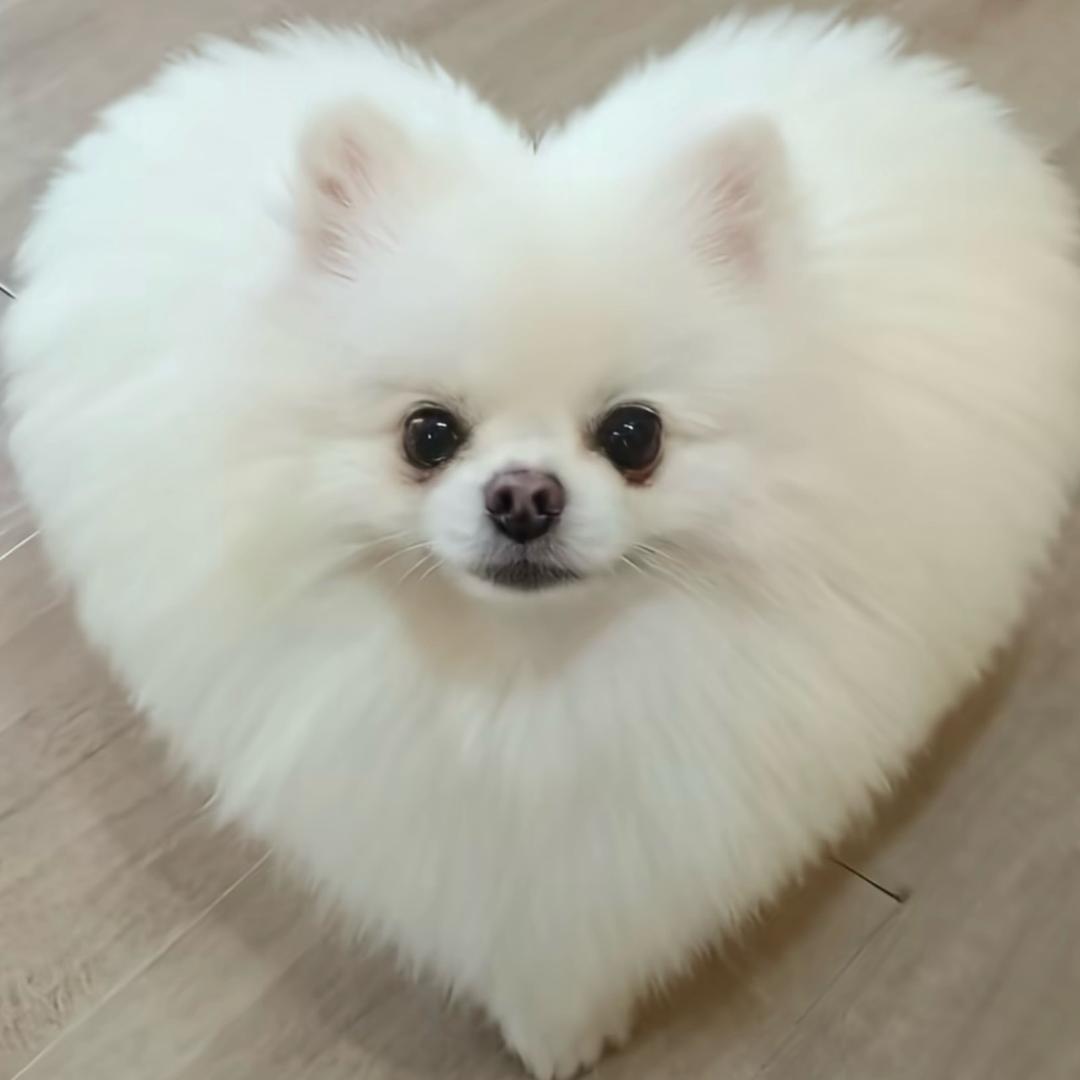 福宝的暖阳☀️