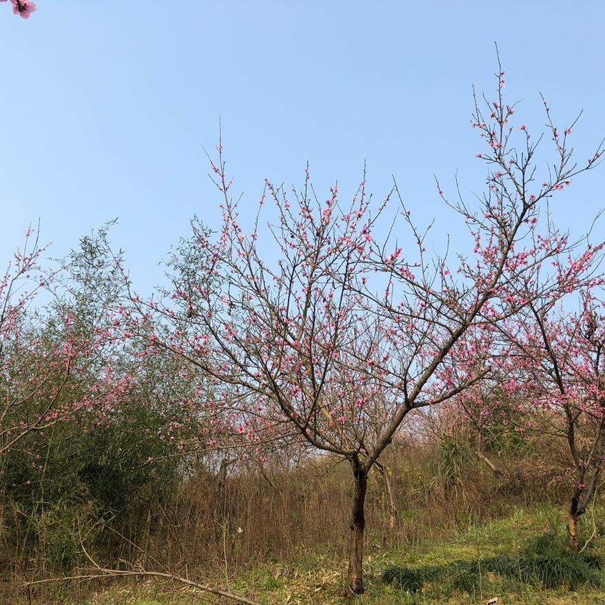 重庆源东科技发展有限责任公司