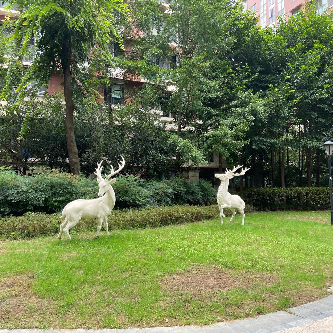 新房，二手房代理