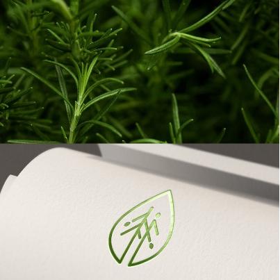 楚江红树林农家菜籽油