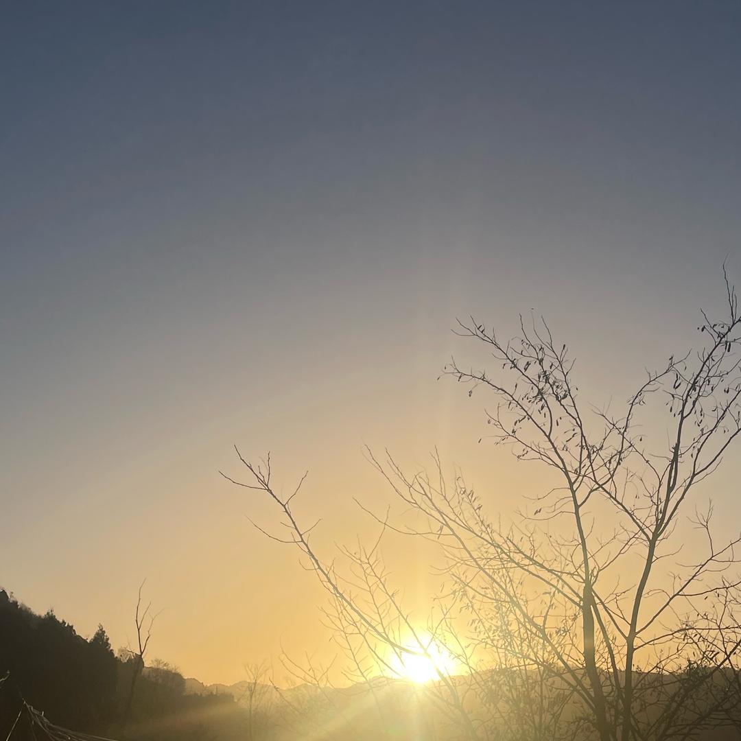 泡泡ooo