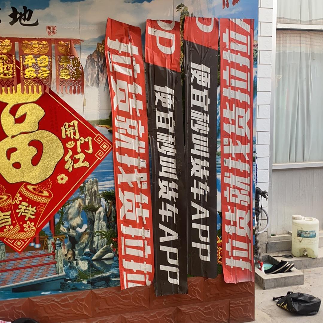 迪子