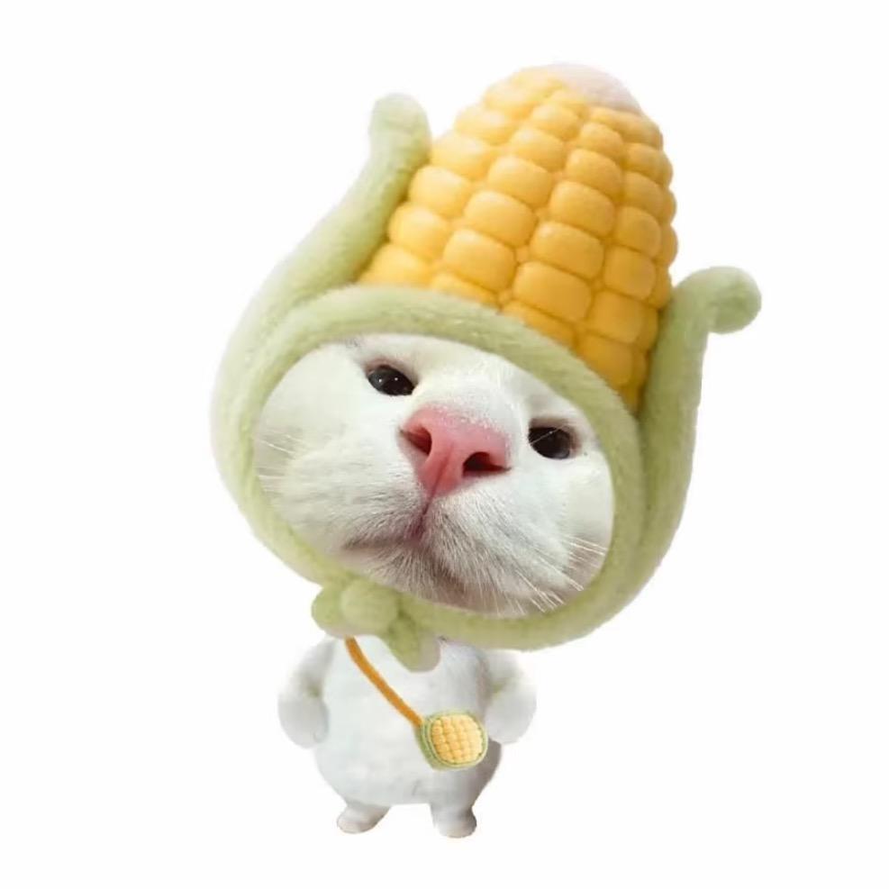 TTyt