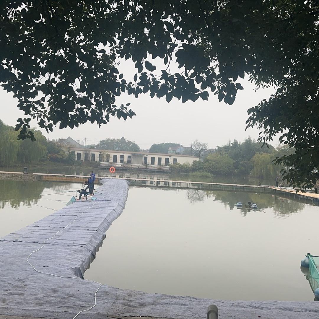 不想看塘🉐塘主