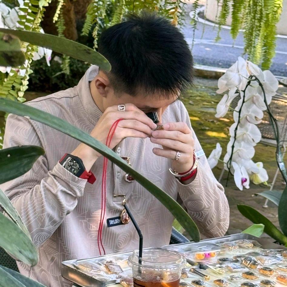 明鉴臻藏