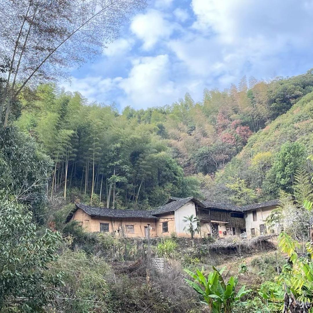 漂飘票