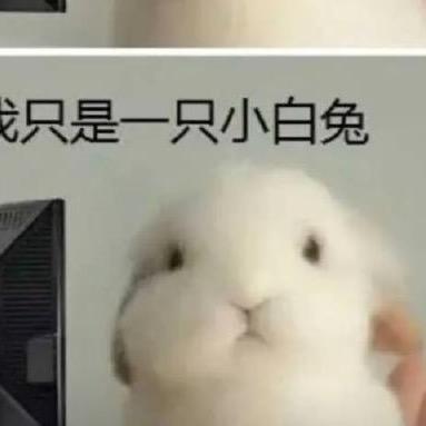 🌱一只可能会发芽的兔子🐰
