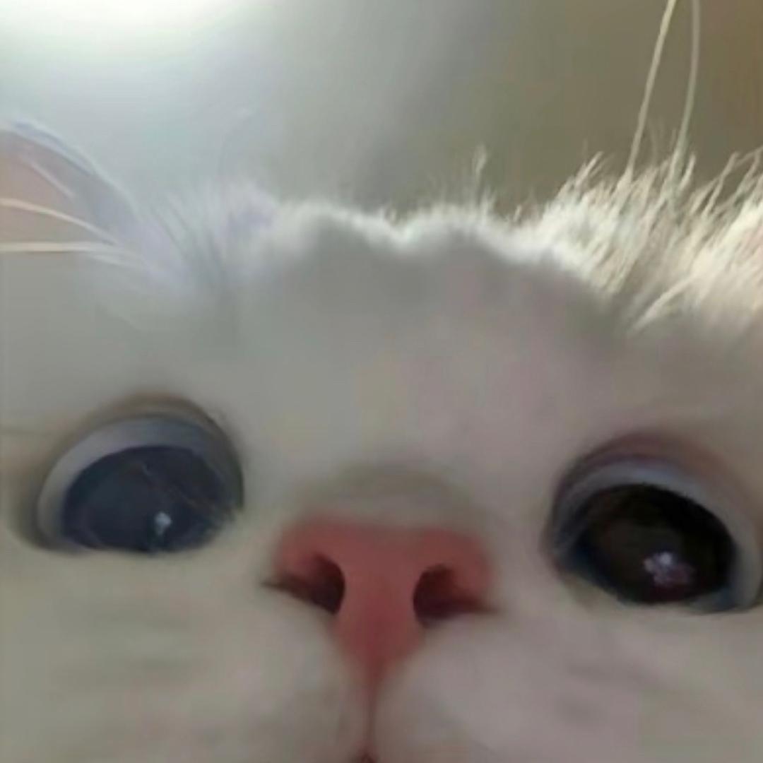 C_Zyt^ik