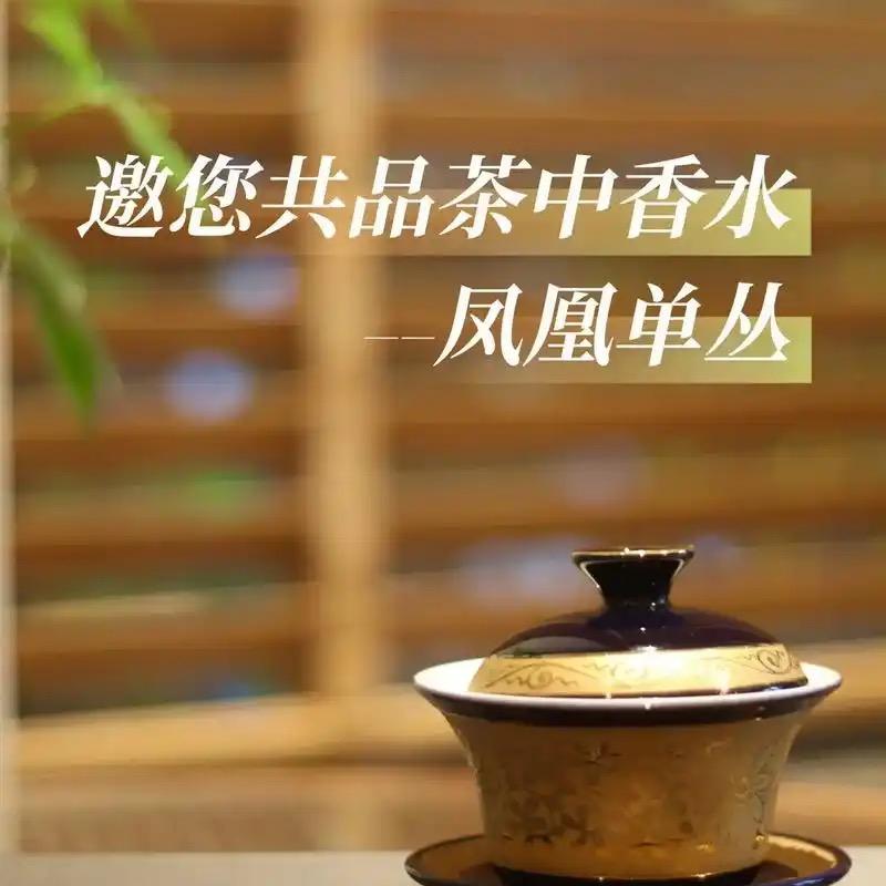 凤凰单丛茶源头自家茶山