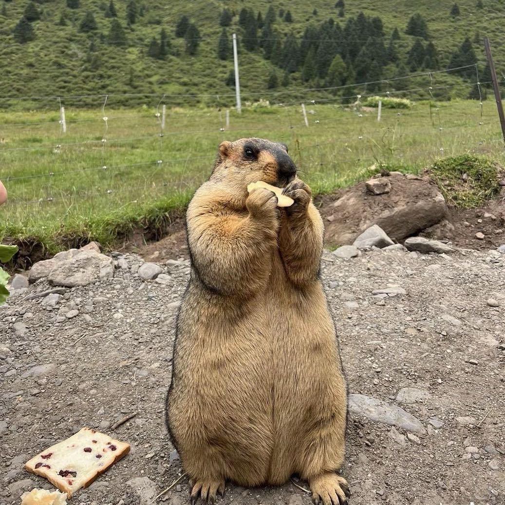 ౪ᩚ  ້ ౪ᩚ  ້ 你最珍贵💋