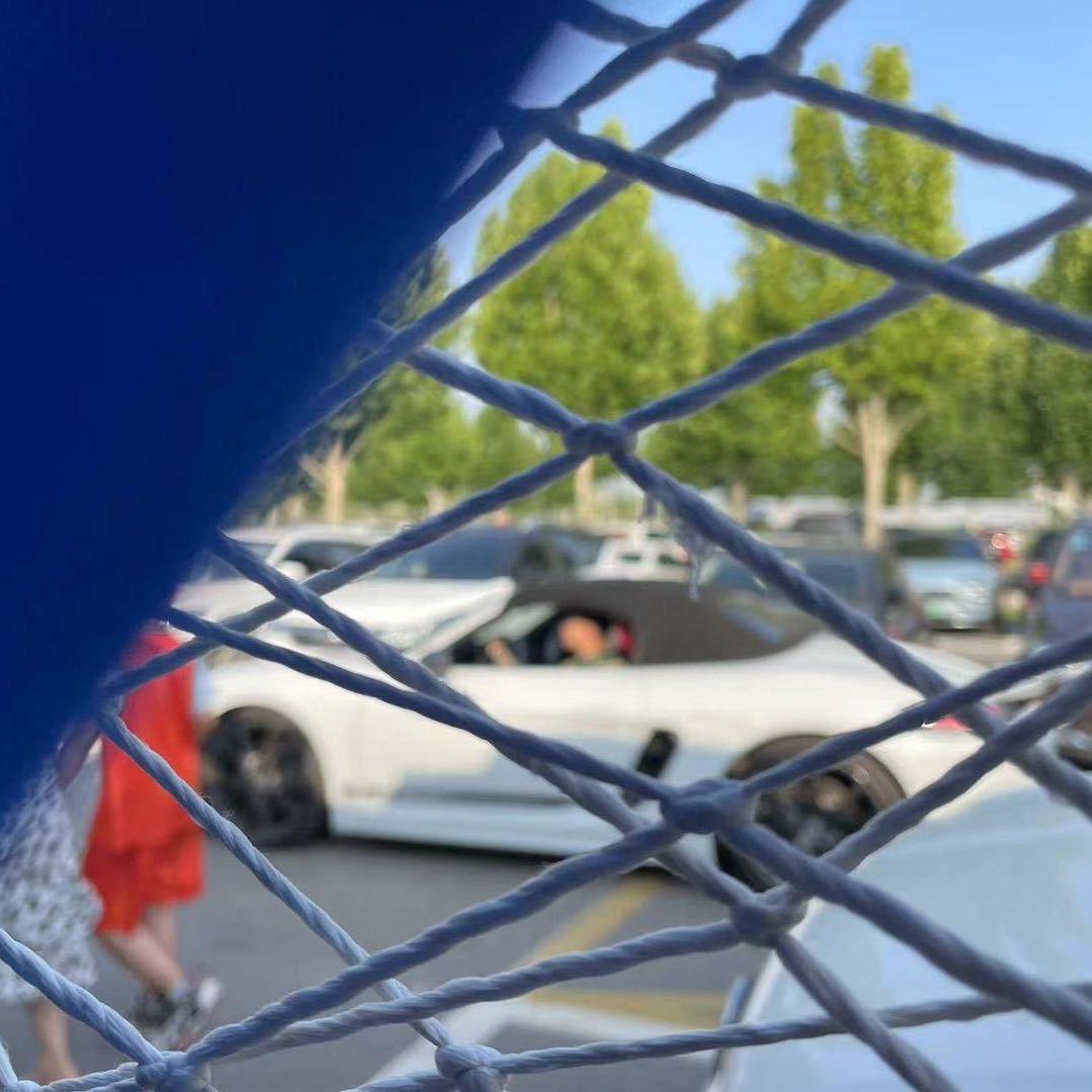 相逢何必曾相识