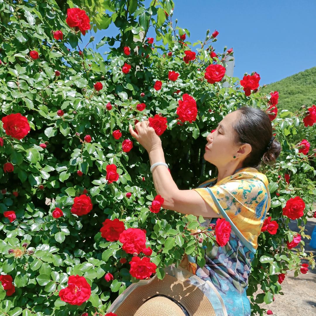 奕洋奶奶🍎⛵️