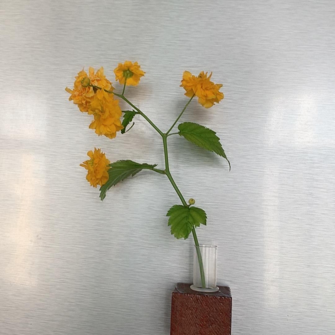 豆子爱阅读