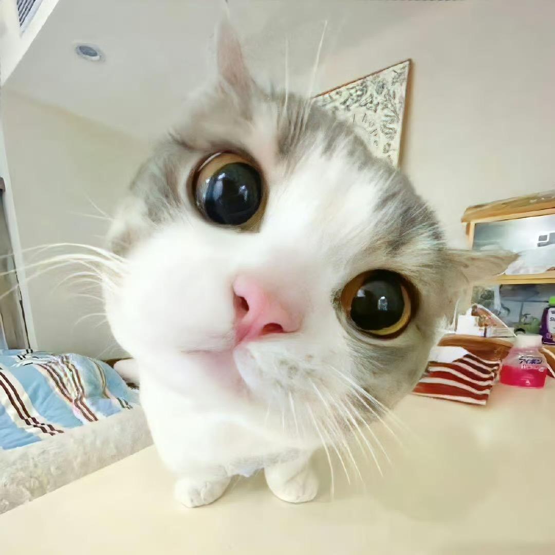 睡不着的小怪兽  👾