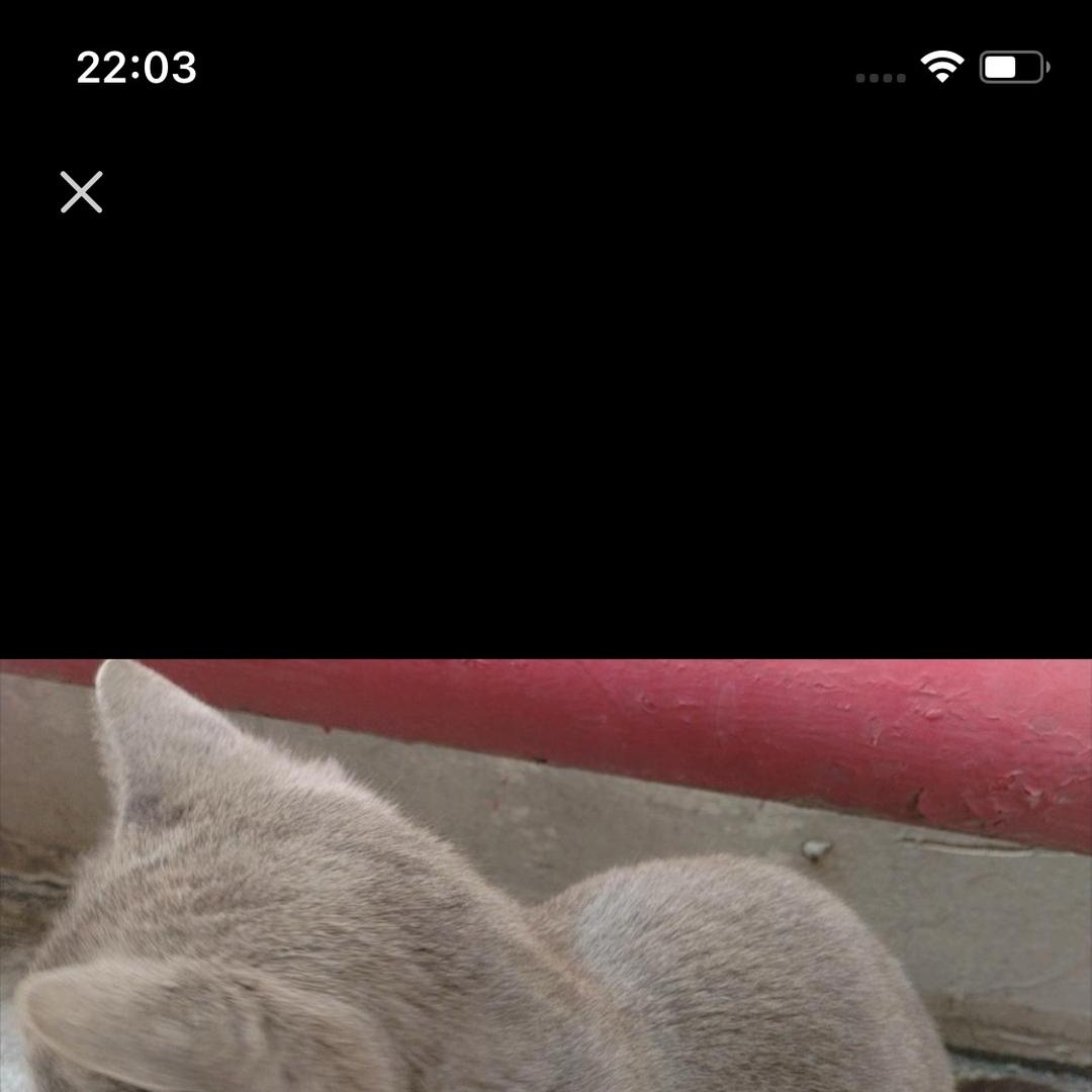 41424495295