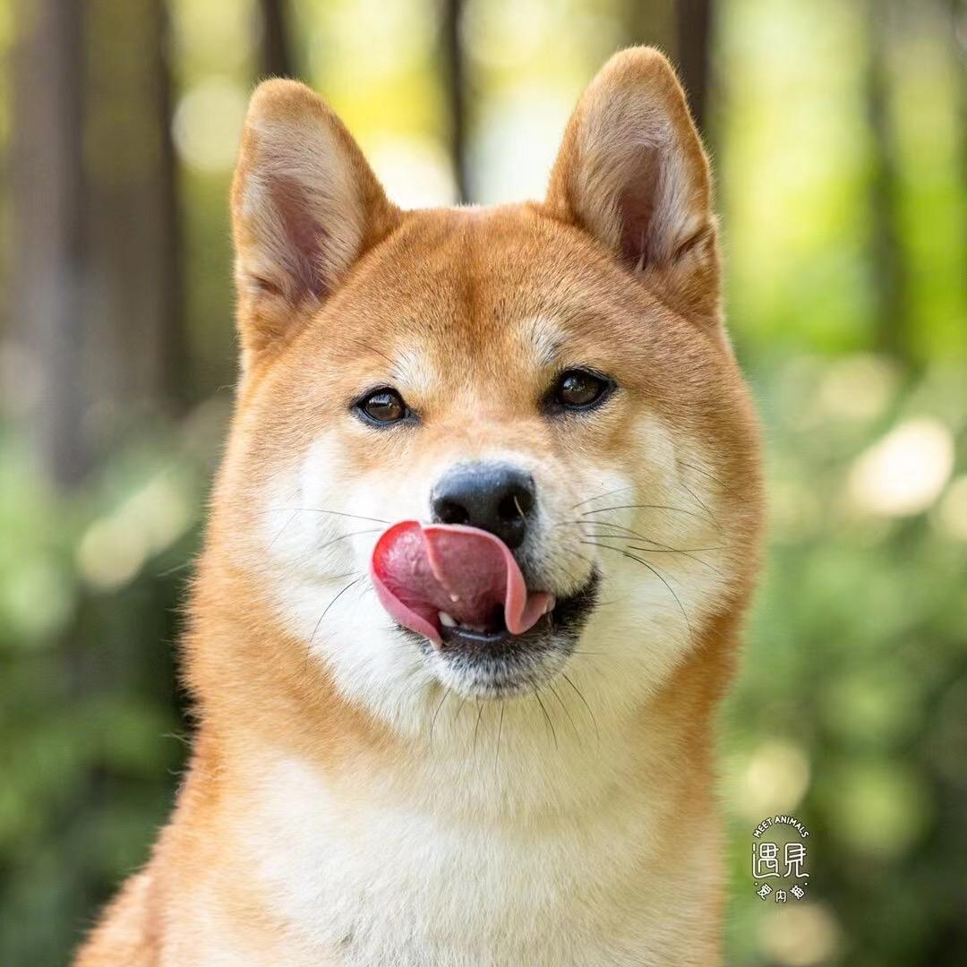 诚丰农业