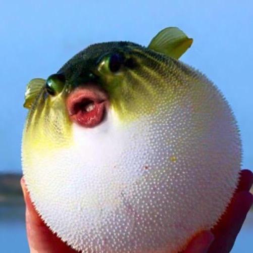 宝宝私房菜