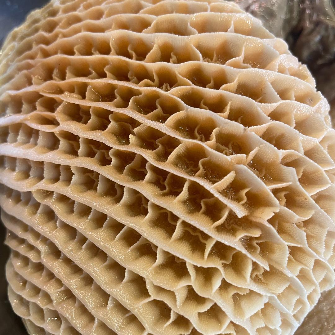 华姐新鲜牛肉批发零售